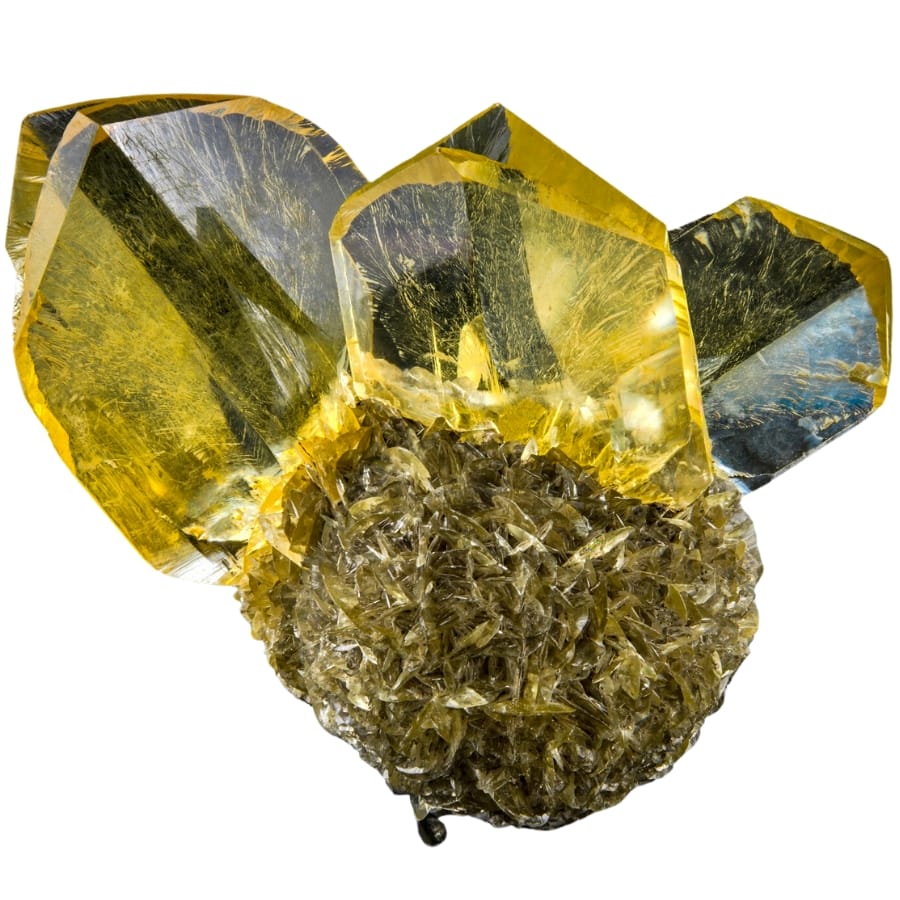 Captivating crystals of yellow gypsum rose
