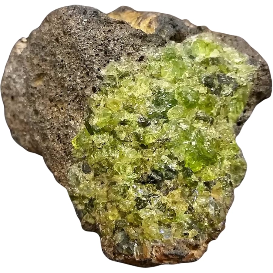 Several small crystals of Hawaii peridot within a basaltic lava