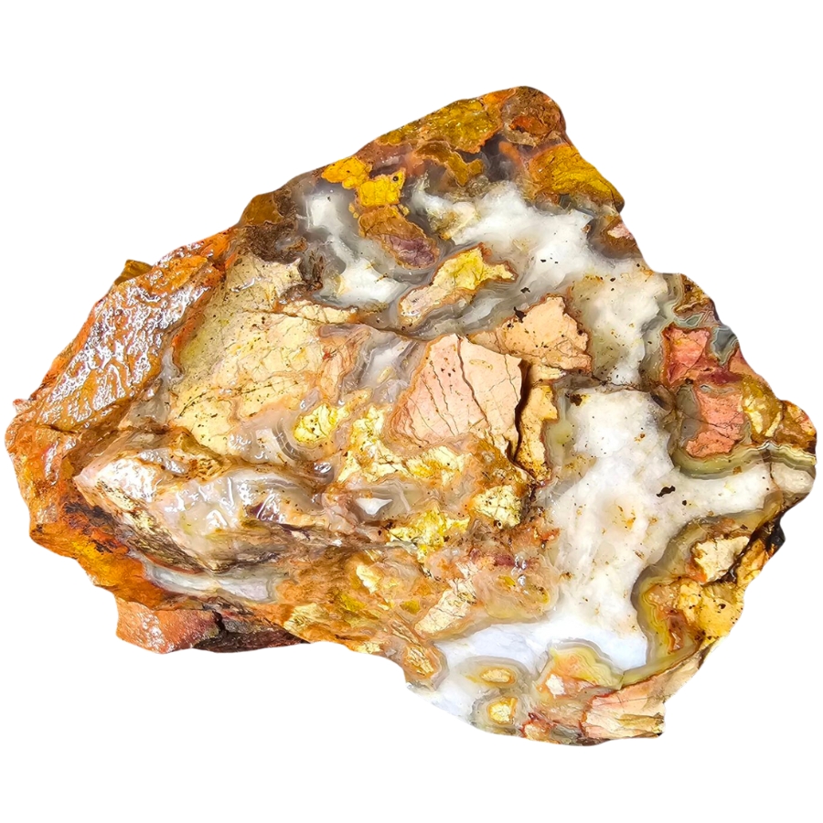 A raw brecciated jasper showing a beautiful mix of yellow, brown, and white colors