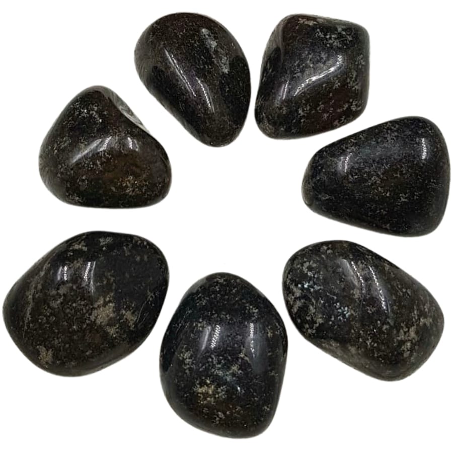 Seven pieces of tumbled black onyx with clear details