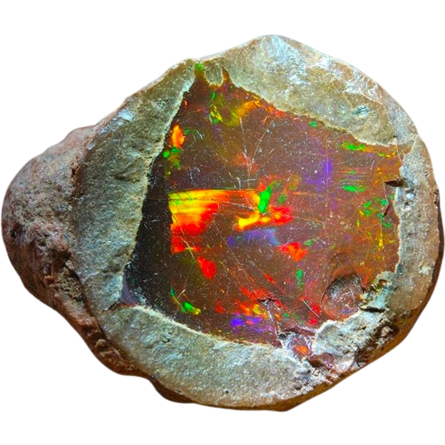 An uncut chocolate opal with strong play-of-color