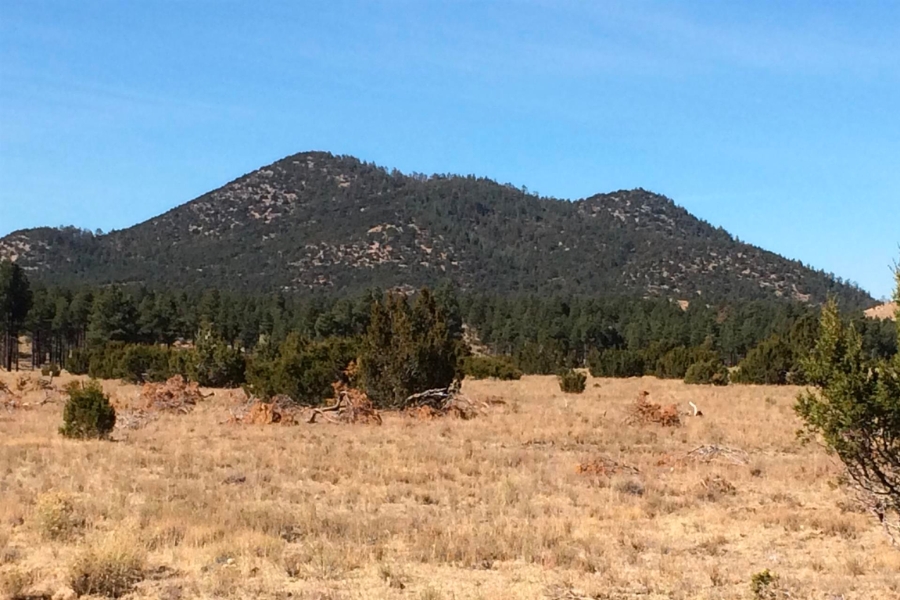 Wide view of the Slate Mountain foregrounded with a wide, open field