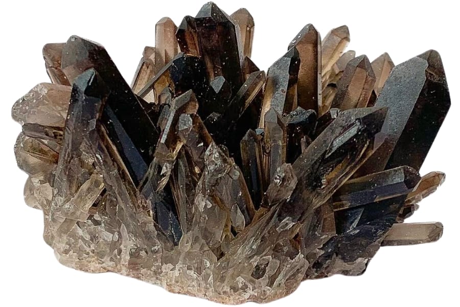 A gorgeous cluster of black, deep brown, to light brown crystals of smoky quartz