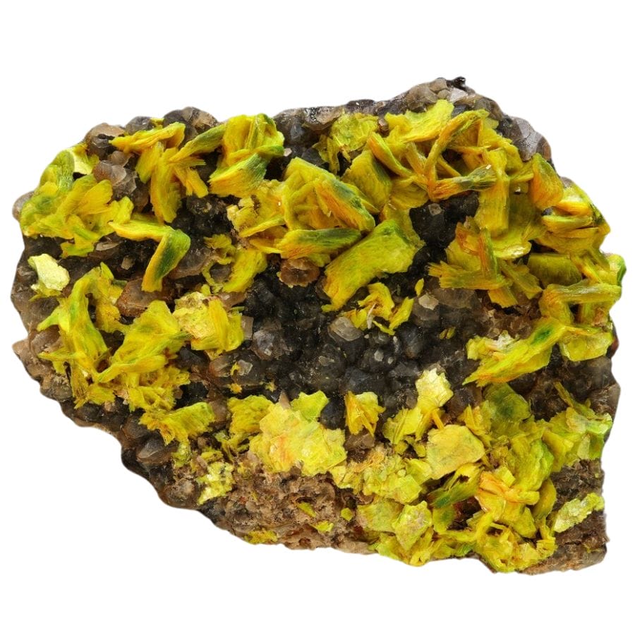 yellow-green autunite crystals on a rock