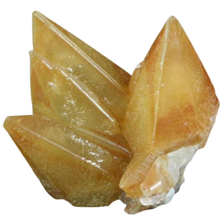 yellow dogtooth calcite crystal cluster