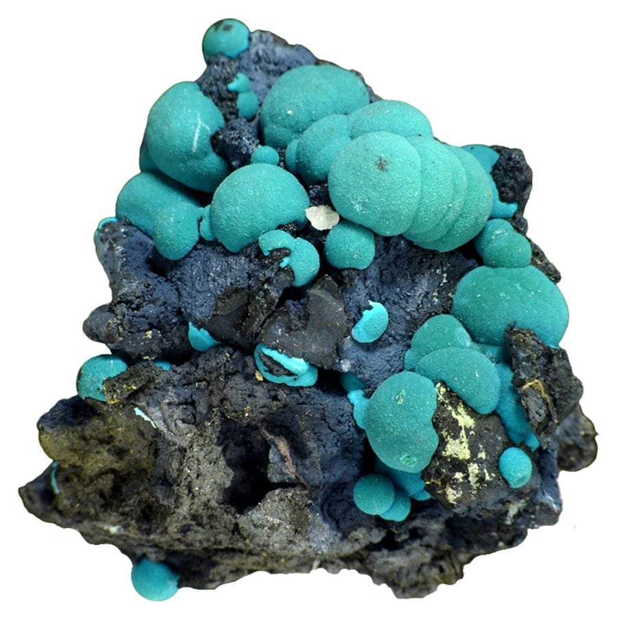 teal botryoidal chrysocolla crystals on a rock