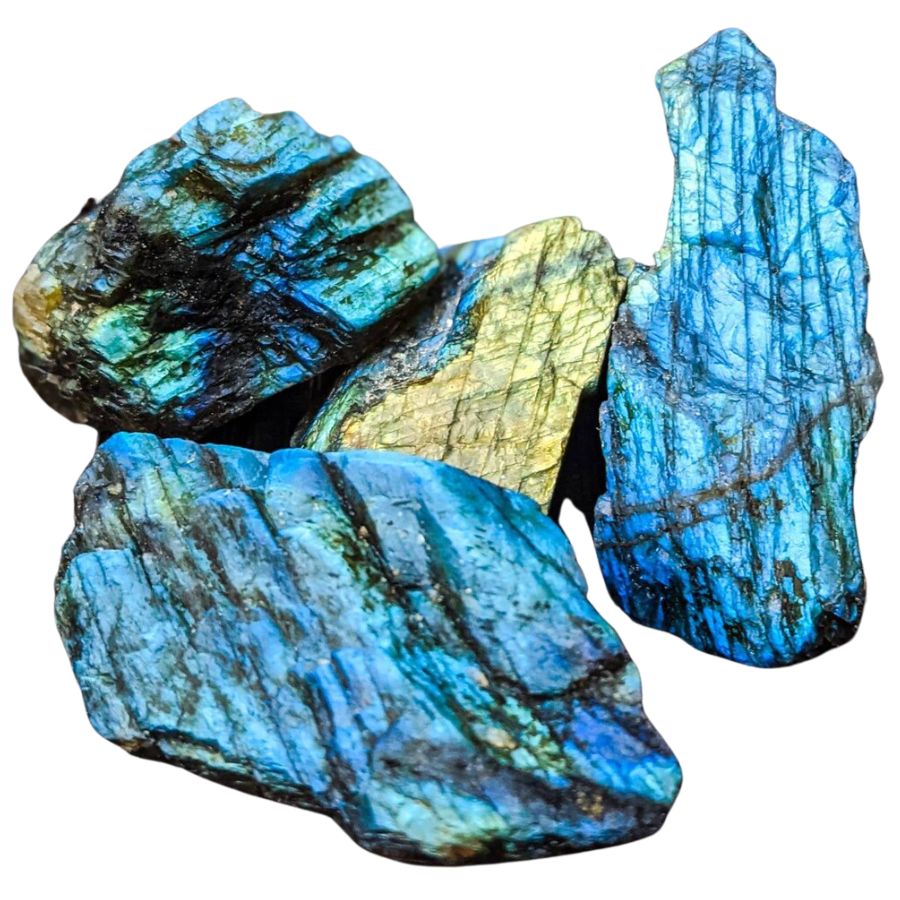 four rough blue labradorite chunks