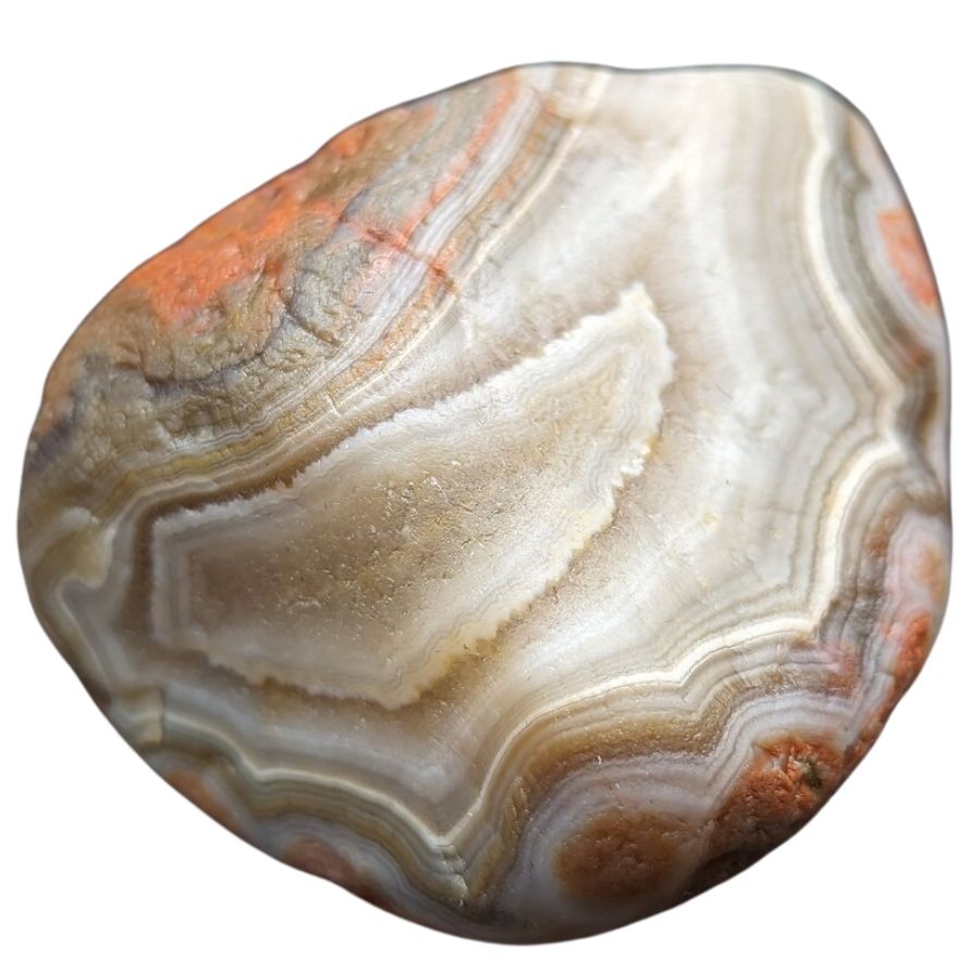 rough Lake Superior agate with white bands