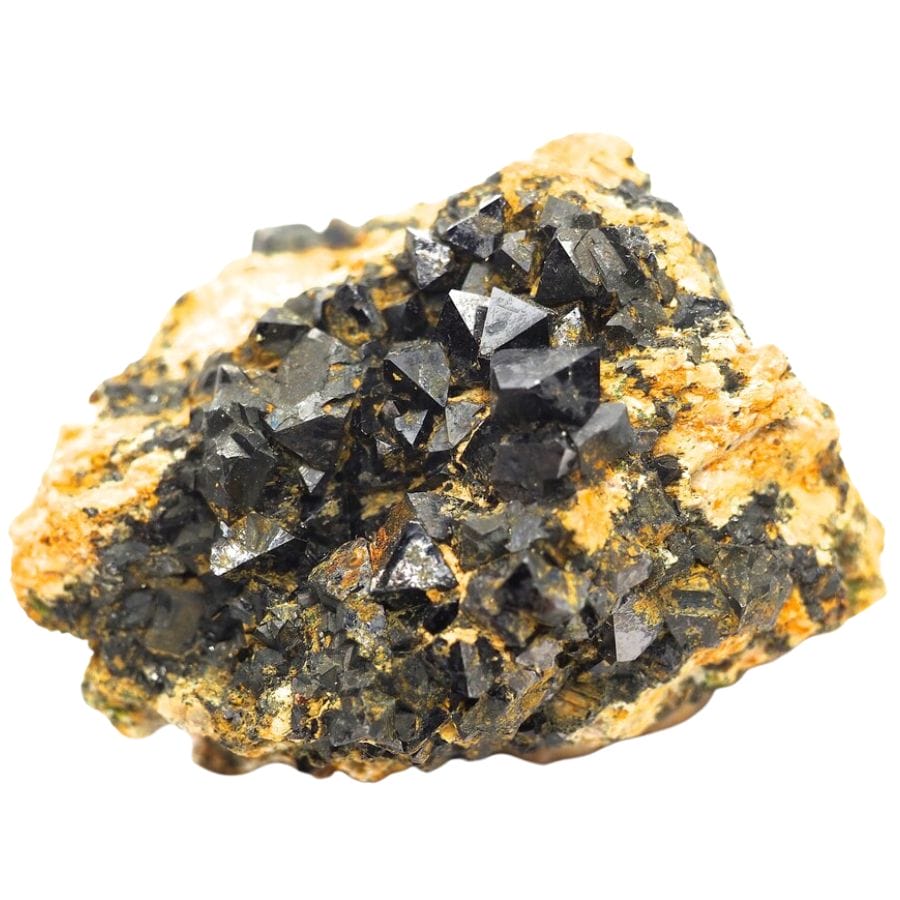 black octahedral magnetite crystals on a rock