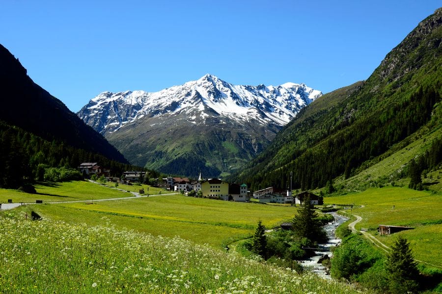 green fields with snowcapped mountains in the background