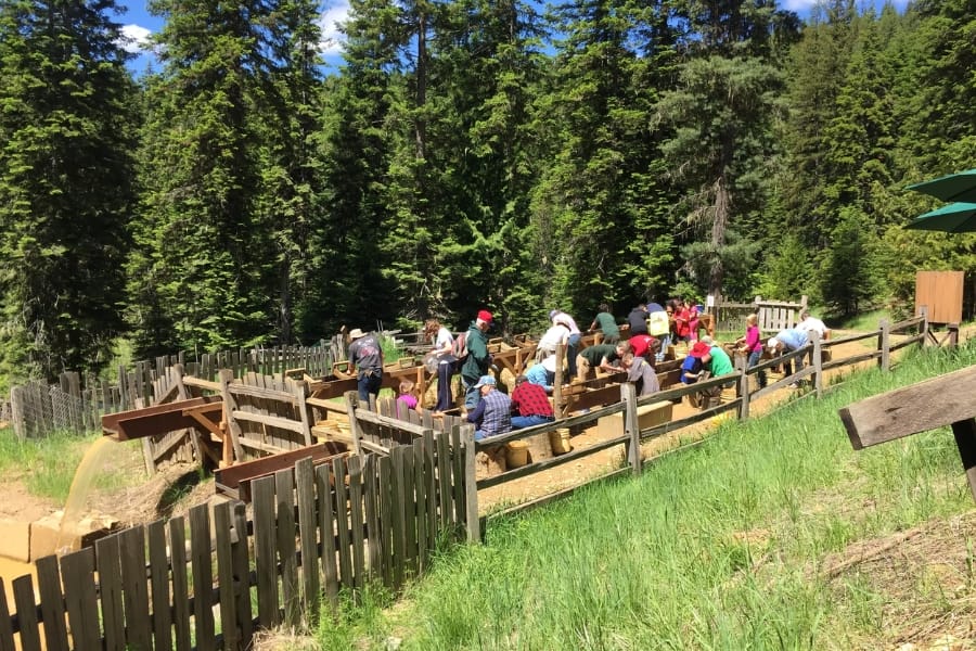 People of different ages sorting through their finds at the Emerald Creek Garnet Area