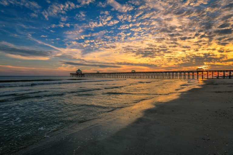 13 Best Places To Find Sharks Teeth In The US