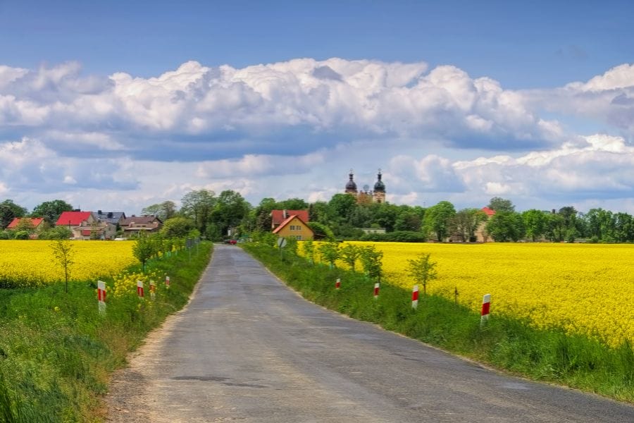 road with fields on both sides