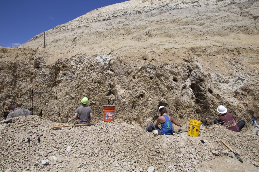 Dig site at the Royal Peacock Opal Mine with a few visitors busily digging