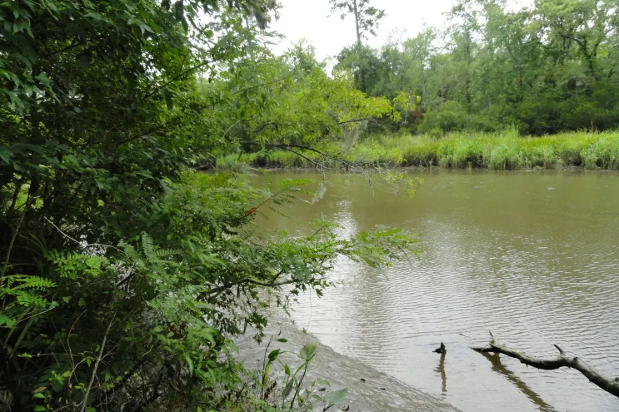 A shallow creek at Summerville