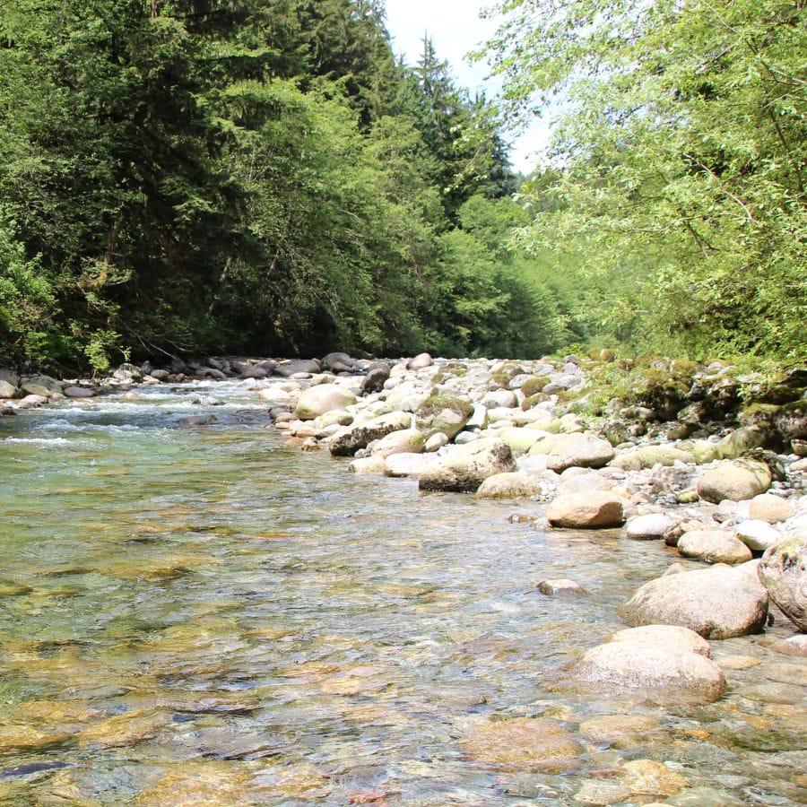 creek with rocky banks
