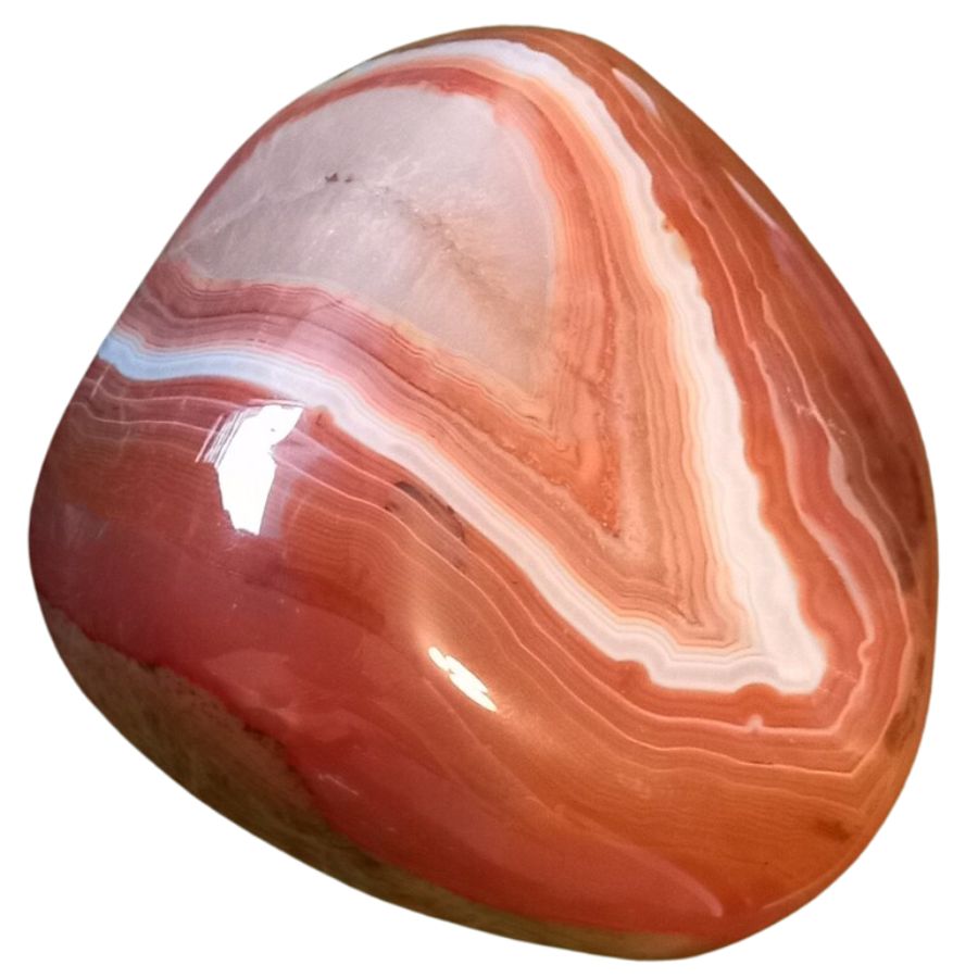 bright red carnelian with white banding