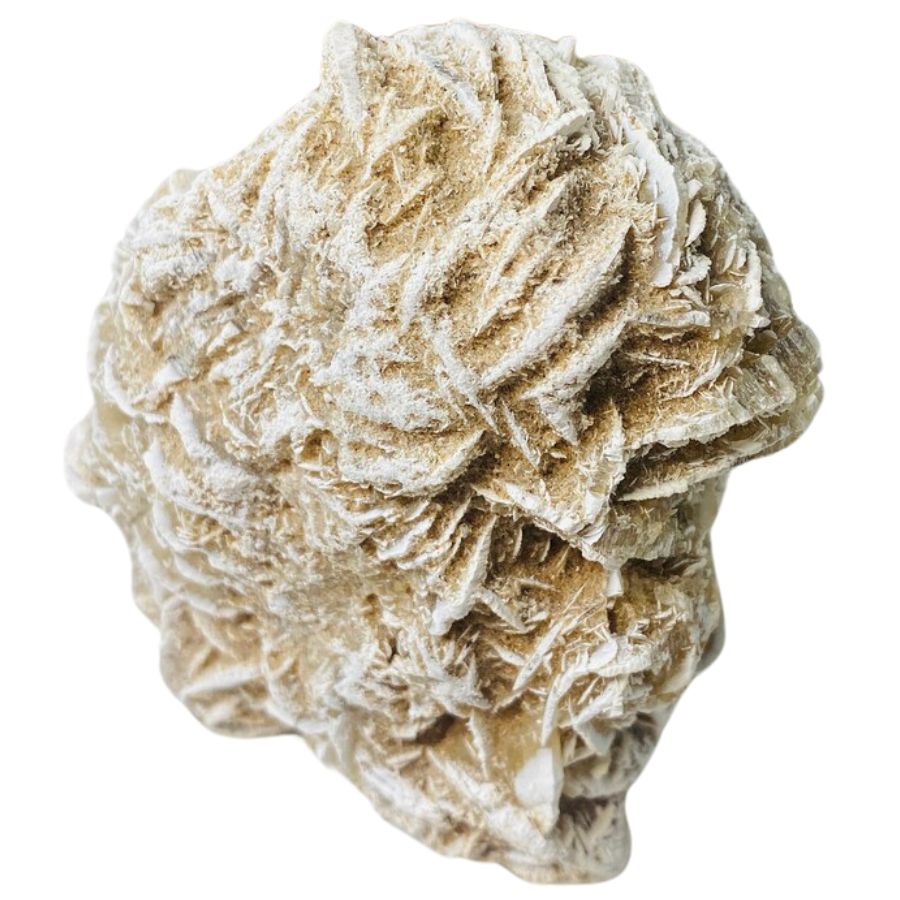 rough beige gypsum rose