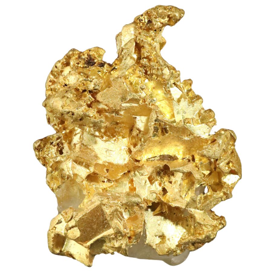 bright and shiny native gold on quartz