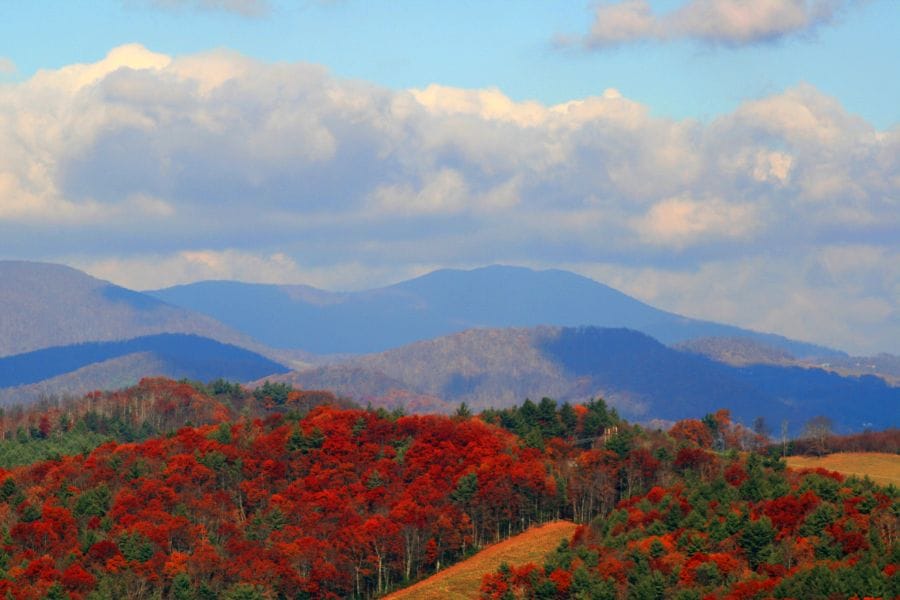 tree-covered Blue Ridge Mountains, North Carolina