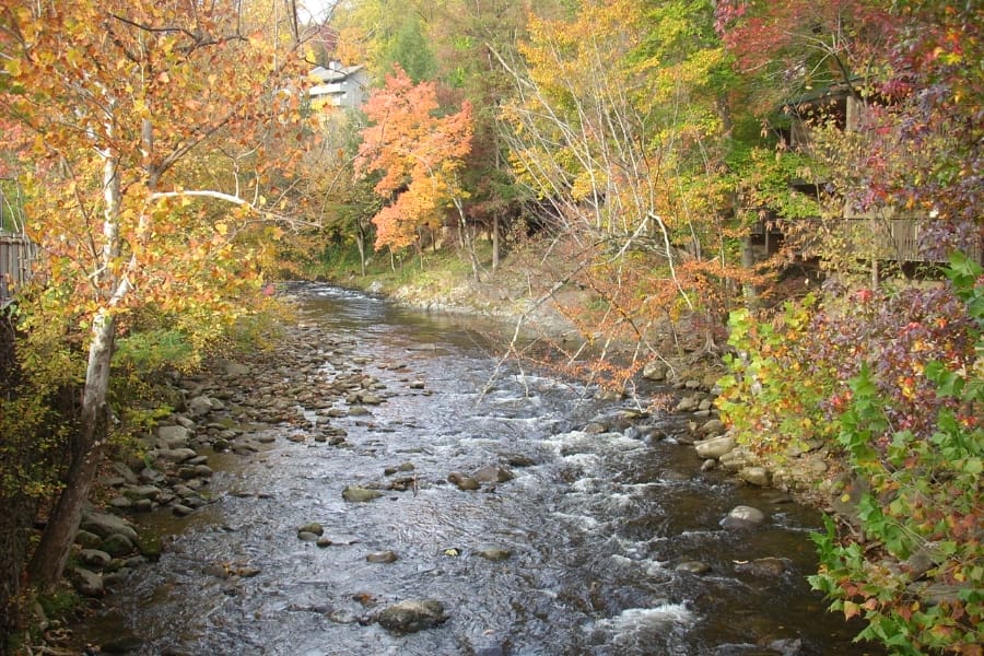 A shallow stream at Coosa County