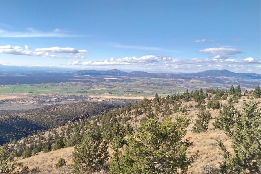 View at the peak of Maury Mountain