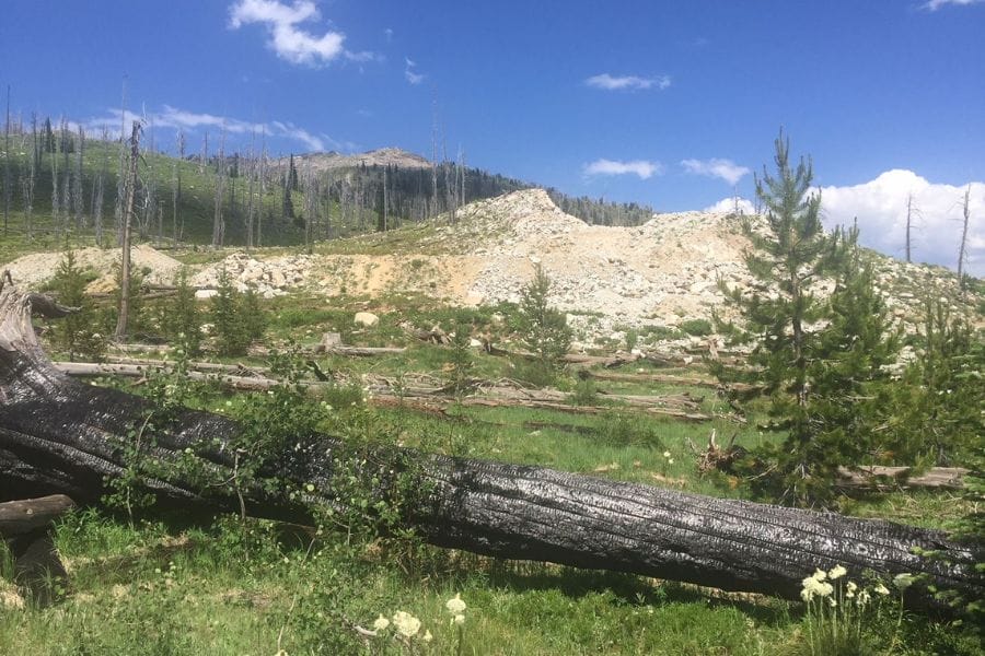 fallen log of wood in front of a mound of soil 