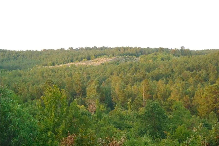 Aerial view of the thick forest surrounding the Twin Knobs No. 1 Mine
