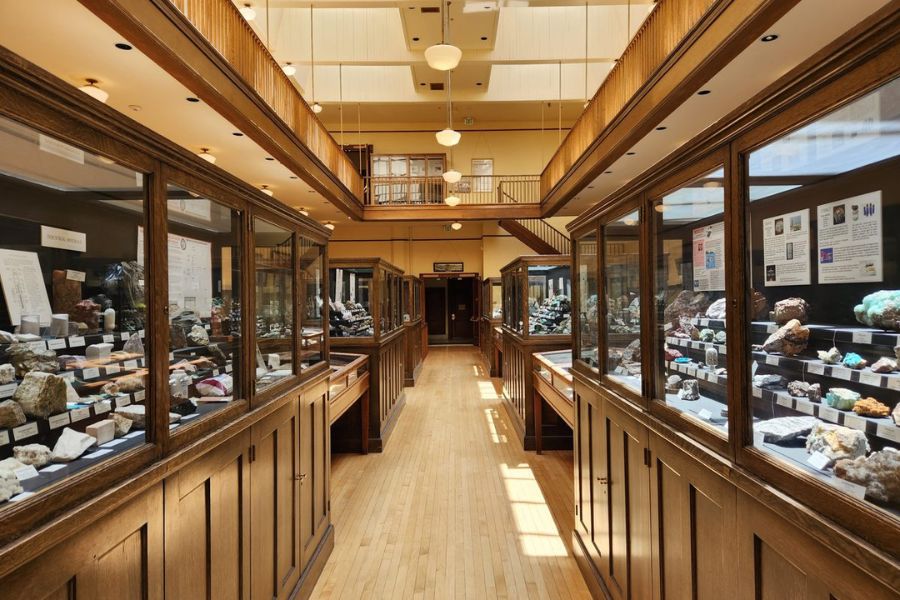 display cases and shelves at a museum