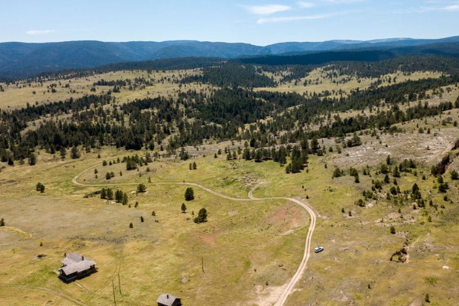 aerial view of green forests and meadows