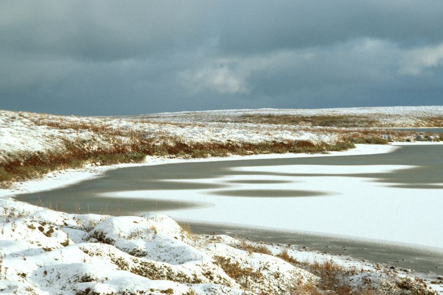 snowy river banks