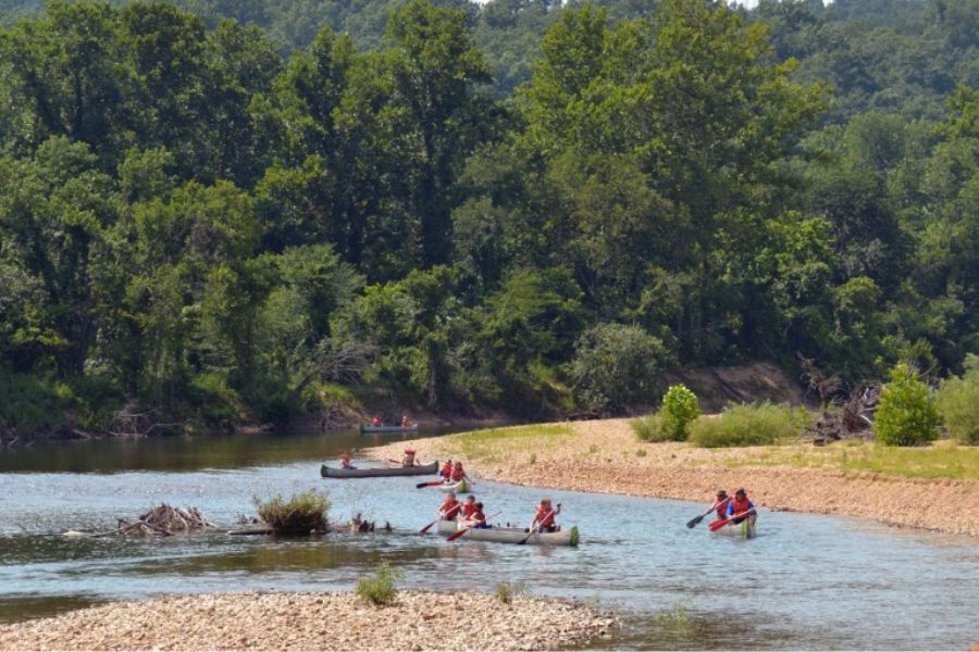 people rowing on a river