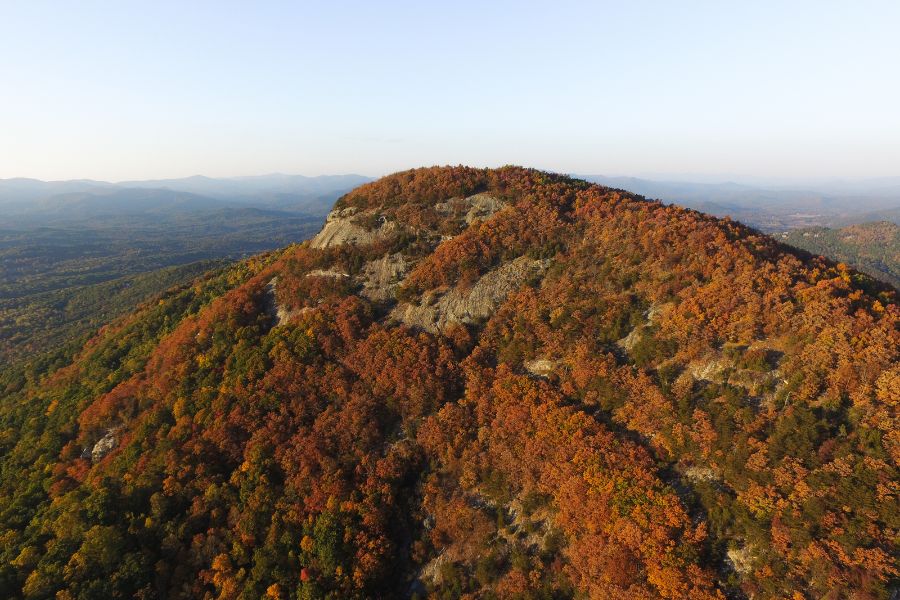 aerial view of a mountain with green and brown trees