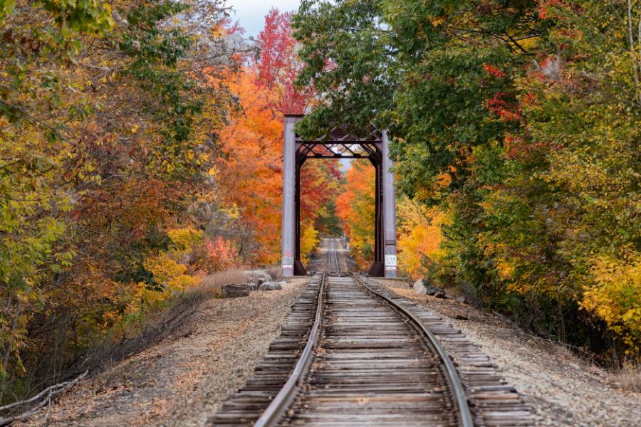 railway and trees