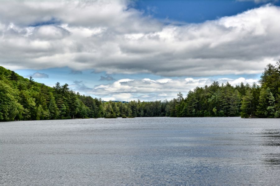 large lake with tree-lined lakeshores