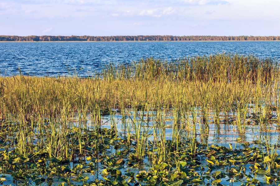 view of a lake