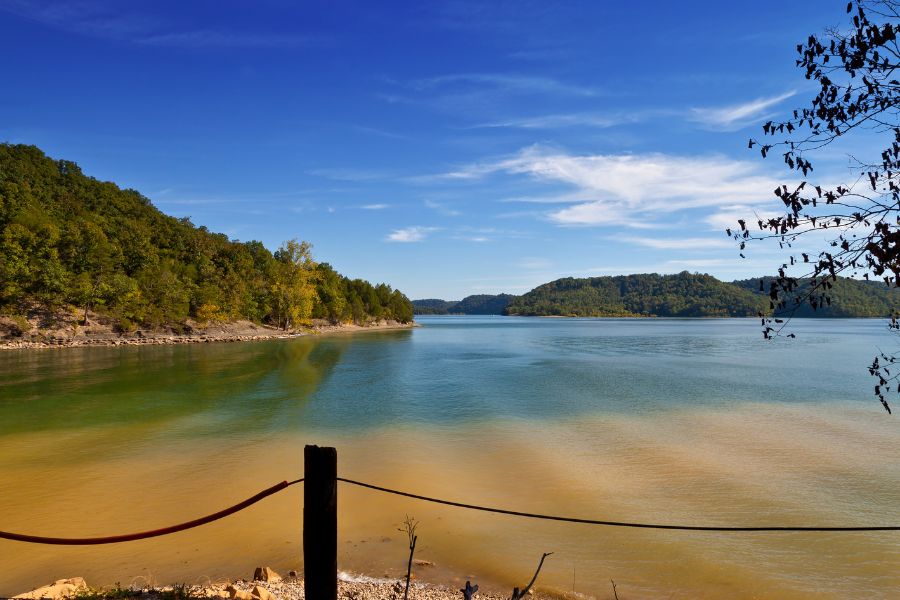 view of a lake from the shore