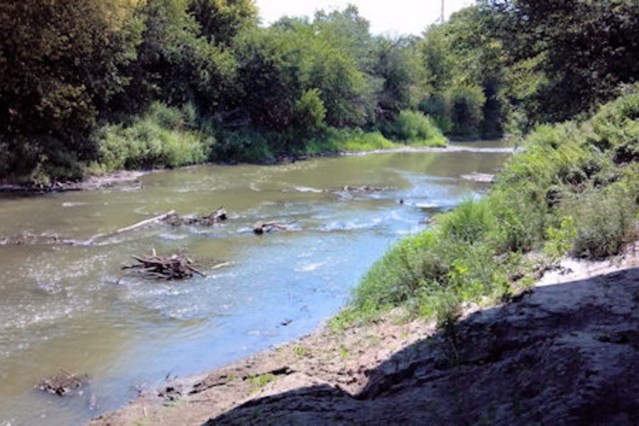 rocky river with trees on the banks