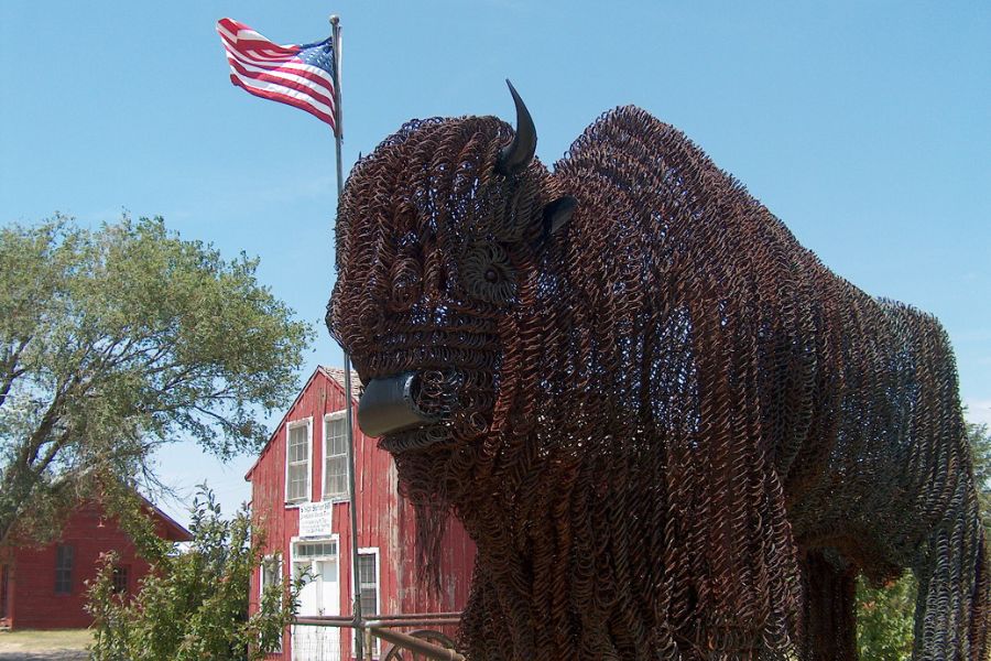 metal wire buffalo sculpture in a plaza