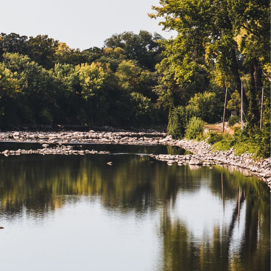 river with tree-lined banks