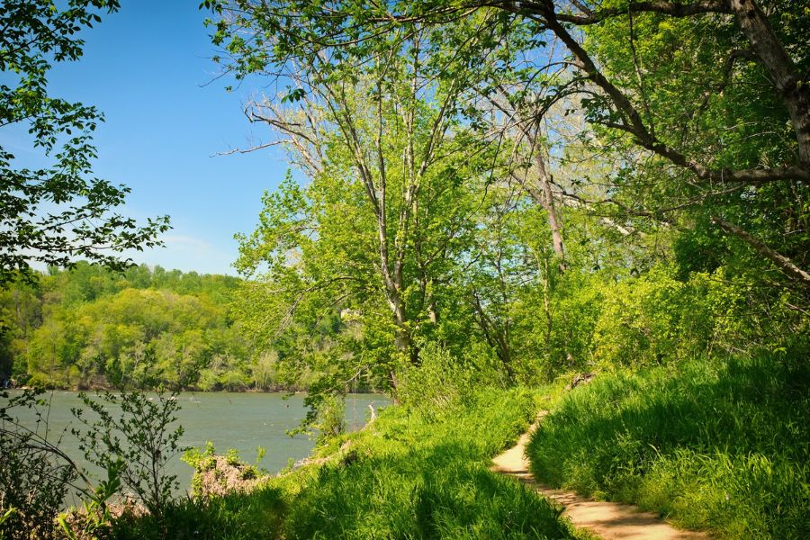 trail along a grassy and tree-lined riverbank