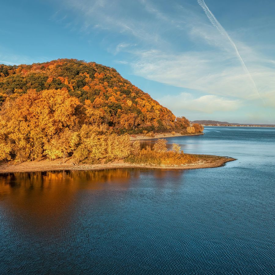 trees on the shores of a lake