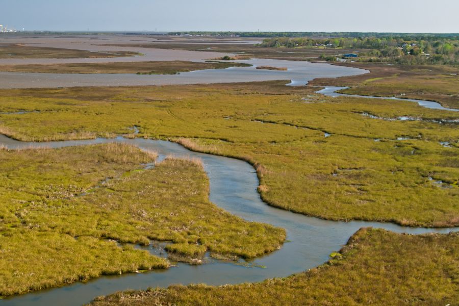 aerial view of a marshy river