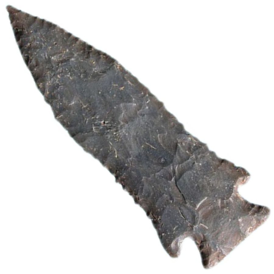 Pine tree projectile point