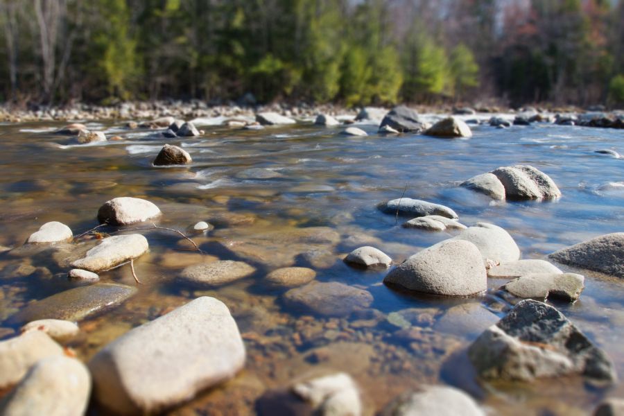 rocky shallow river with tree-lined banks