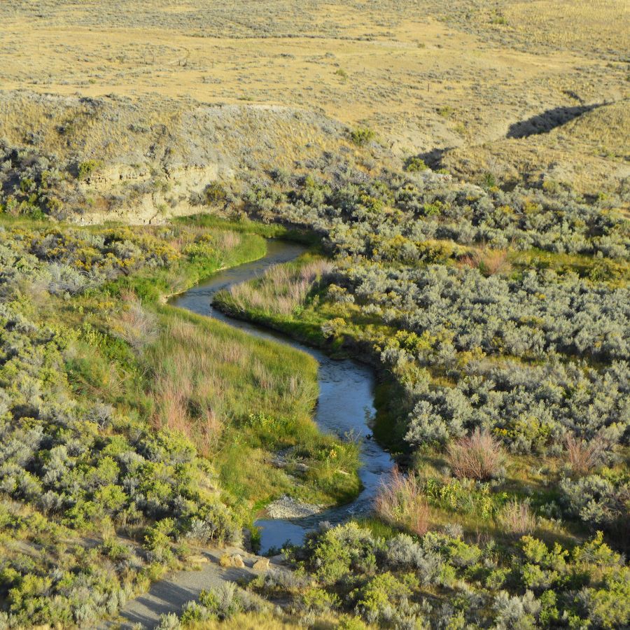 wide grassy field with a meandering river