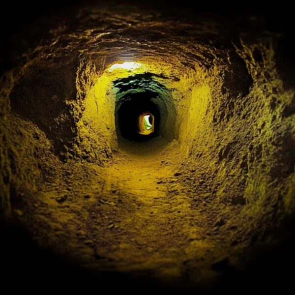 17 Treasures Hidden in That Are Worth the Hunt