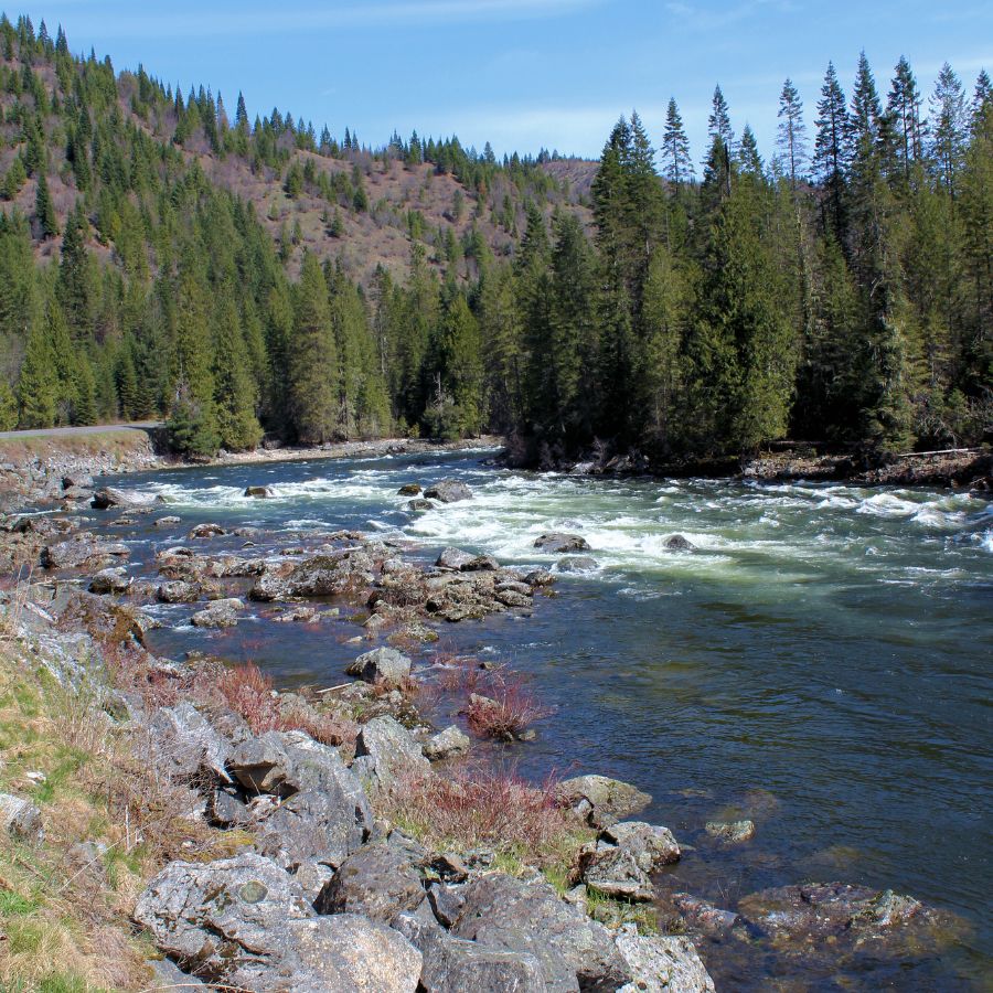 river with rocky tree-lined banks