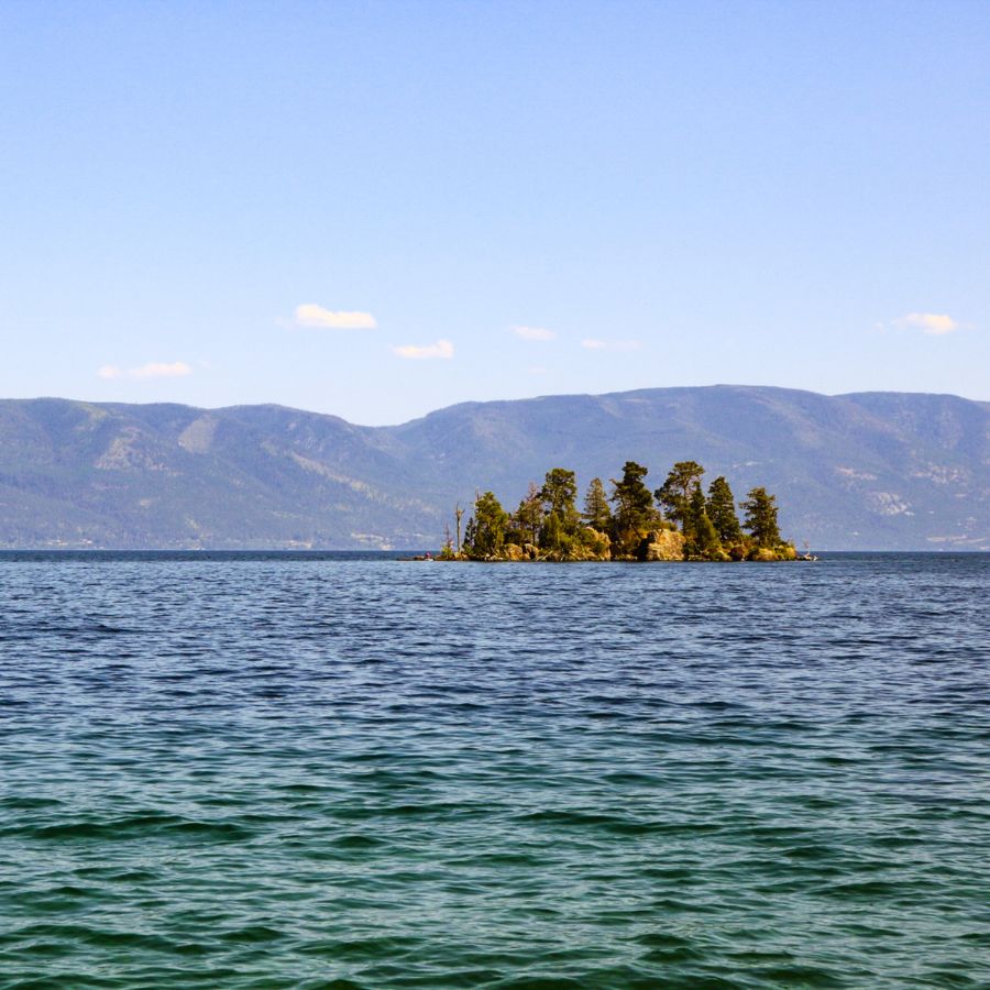 trees on a small island in a lake with mountains in the background