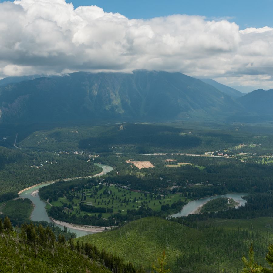 aerial view of a meandering river 